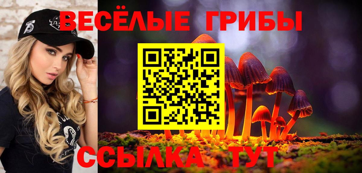 Псилоцибиновые грибы Cubensis Корсаков